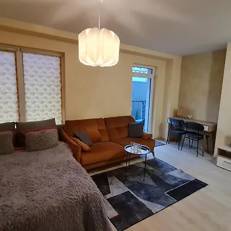Svitrigailos Gatveje 1kambario Butas Naujos Statybos Name Apartment