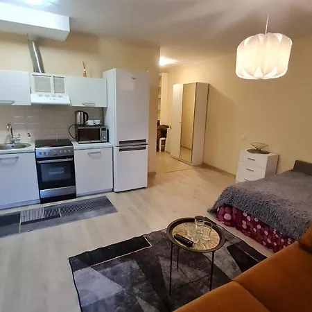 Svitrigailos Gatveje 1kambario Butas Naujos Statybos Name *