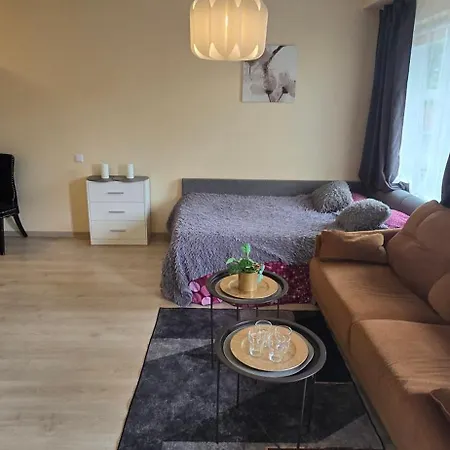 Svitrigailos Gatveje 1kambario Butas Naujos Statybos Name * Vilnius