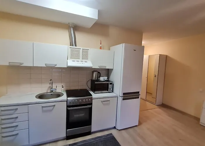 Svitrigailos Gatveje 1kambario Butas Naujos Statybos Name Vilnius