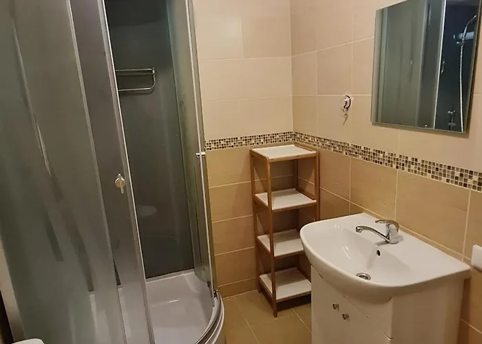 Apartment Svitrigailos Gatveje 1kambario Butas Naujos Statybos Name