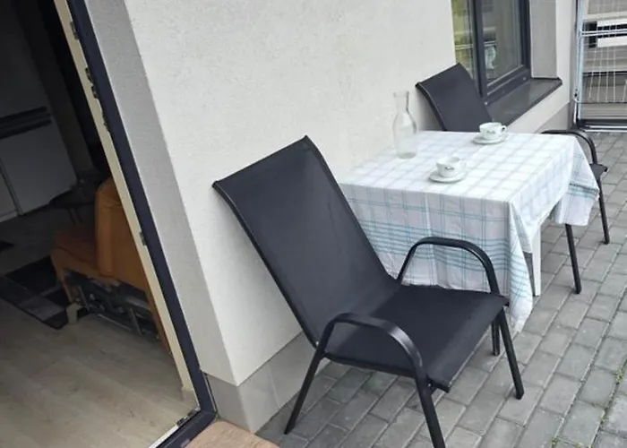 Svitrigailos Gatveje 1kambario Butas Naujos Statybos Name