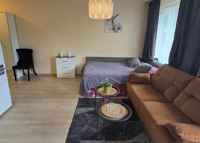 Svitrigailos Gatveje 1kambario Butas Naujos Statybos Name * Wilna